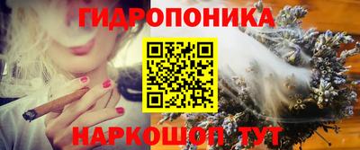 прущие крисы Партизанск