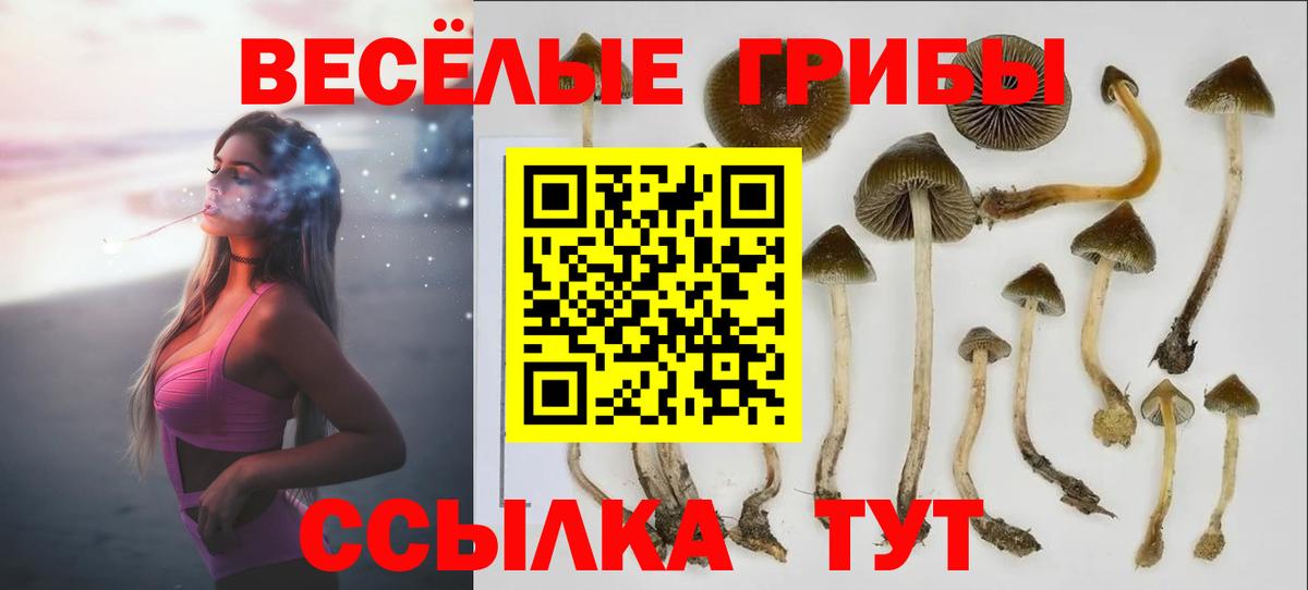 Галлюциногенные грибы прущие грибы Россия