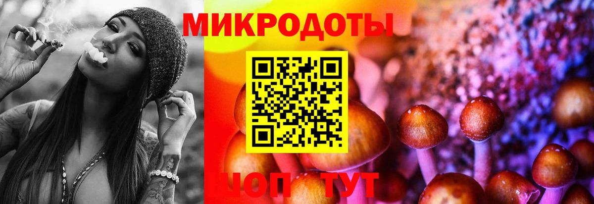 Россия  Галлюциногенные грибы мицелий  Вход с VPN  Галлюциногенные грибы GOLDEN TEACHER 